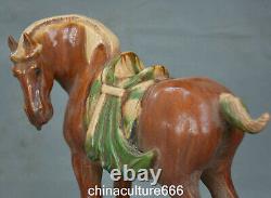 10.6 Old Dynasty Tangsancai Porcelain Fengshui Folk Zodiac Horse Animal Statue