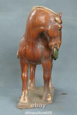 10.6 Old Dynasty Tangsancai Porcelain Fengshui Folk Zodiac Horse Animal Statue