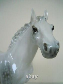 12 HUTSCHENREUTHER-ROSENTHAL THOROUGHBRED HORSE JAZDA PORCELAIN FIGURINE Werner