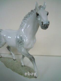 12 HUTSCHENREUTHER-ROSENTHAL THOROUGHBRED HORSE JAZDA PORCELAIN FIGURINE Werner