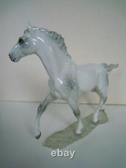 12 HUTSCHENREUTHER-ROSENTHAL THOROUGHBRED HORSE JAZDA PORCELAIN FIGURINE Werner