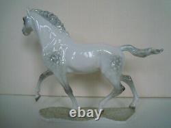 12 HUTSCHENREUTHER-ROSENTHAL THOROUGHBRED HORSE JAZDA PORCELAIN FIGURINE Werner