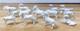14 Vintage Porcelain Chinese Miniature White Horses Figurines 1.5- 2
