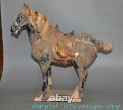 17.2 Old China Tangsancai pottery porcelain fengshui Luck animal horse statue