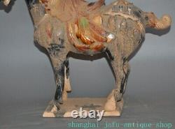 17.2 Old China Tangsancai pottery porcelain fengshui Luck animal horse statue