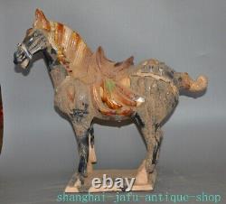 17.2 Old China Tangsancai pottery porcelain fengshui Luck animal horse statue