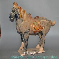 17.2 Old China Tangsancai pottery porcelain fengshui Luck animal horse statue