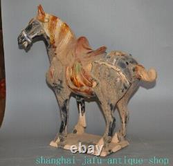 17.2 Old China Tangsancai pottery porcelain fengshui Luck animal horse statue