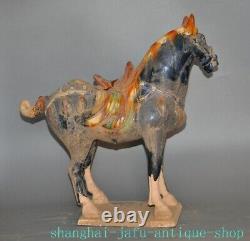 17.2 Old China Tangsancai pottery porcelain fengshui Luck animal horse statue