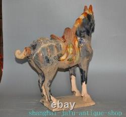 17.2 Old China Tangsancai pottery porcelain fengshui Luck animal horse statue