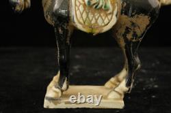19 cm China Tang Sancai Porcelain horse Statue Pottery animal sculpture