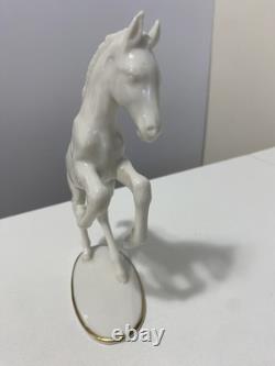 1940s Hutschenreuther Leaping Foal White Porcelain Horse Figurine by Max Fritz