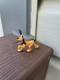 1956 Vintage Hagen Renaker Disney Pluto Figurine