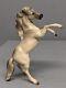 1958 Only White Hagen Renaker Rearing Horse Dot Eyes Lots Of Shading