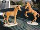 (2) Hutschenreuther Kunstabteilung Leaping Foal Colt Horse Figure Germany As Is