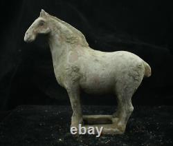 20.5 CM Chinese Tang Sancai Porcelain horse Statue Pottery animal sculpture