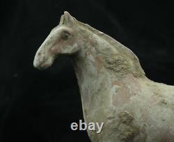 20.5 CM Chinese Tang Sancai Porcelain horse Statue Pottery animal sculpture