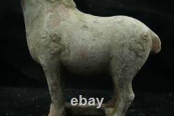 20.5 CM Chinese Tang Sancai Porcelain horse Statue Pottery animal sculpture