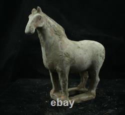 20.5 CM Chinese Tang Sancai Porcelain horse Statue Pottery animal sculpture