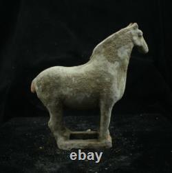 20.5 CM Chinese Tang Sancai Porcelain horse Statue Pottery animal sculpture