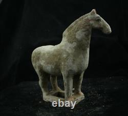 20.5 CM Chinese Tang Sancai Porcelain horse Statue Pottery animal sculpture