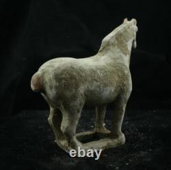 20.5 CM Chinese Tang Sancai Porcelain horse Statue Pottery animal sculpture