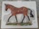 2002-2003 Breyer Le Fine Porcelain Sir Buckingham Bay Stock Horse Gelding Nos B