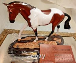 2003 Breyer Connoisseur Tenacious 90126 LE 350 Bay Pinto COA Porcelain Wood Base