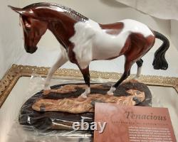 2003 Breyer Connoisseur Tenacious 90126 LE 350 Bay Pinto COA Porcelain Wood Base