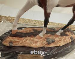 2003 Breyer Connoisseur Tenacious 90126 LE 350 Bay Pinto COA Porcelain Wood Base