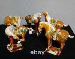 5 Tang Dynasty-Style War Horses, Specifically Featuring Sancai drip Please Read