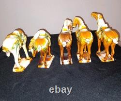 5 Tang Dynasty-Style War Horses, Specifically Featuring Sancai drip Please Read