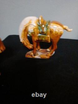 5 Tang Dynasty-Style War Horses, Specifically Featuring Sancai drip Please Read