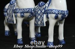 6.2 China Blue White Porcelain Fengshui 12 Zodiac Year Horse Animal Statue Pair