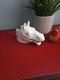 A Beautiful Vintage Porcelain Stapler White Horse Head By Chadwick Japan