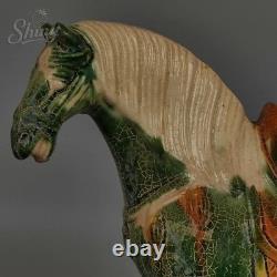 Ancient China Tang Sancai Black-Glazed Warhorse Antique-Style Ceramic Figurine