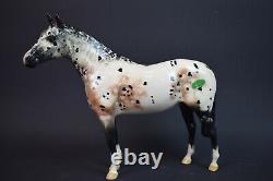Beautiful Beswick model of an Appaloosa Horse, Model number 1772 in Gloss Glaze