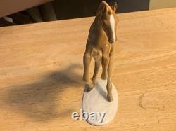 Beautiful Hutschenreuther Rearing Foal Figurine -Germany 6.5T
