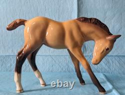 Beswick Collector's Club 1997 Dun Foal Limited Edition NIB