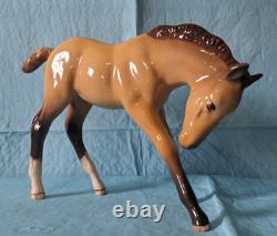 Beswick Collector's Club 1997 Dun Foal Limited Edition NIB