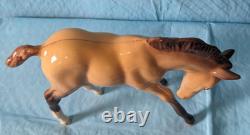Beswick Collector's Club 1997 Dun Foal Limited Edition NIB