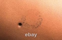 Beswick England Cantering Shire Horse Large Figure Figurine Matte