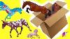 Box Of New Horses Traditional Club Freedom Series Breyer Horse Haul Video