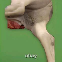 Breyer 1995 Fine Porcelain Premier Arabian Mare Limited Edition of 2500 Breyer 1995 Fine Porcelain Premier Arabian Mare Limited Edition of 2500