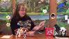 Breyer Collection Unboxing Box 52 Porcelains Cherokee And Christmas