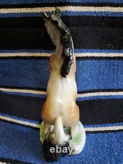 Capodimonte Rearing Porcelain Stallion / Horse Works Of Art
