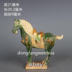 Chinese Tang Sancai Porcelain Pottery Fengshui Zodiac Horse War-horse Statue AQ1