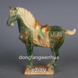 Chinese Tang Sancai Porcelain Pottery Fengshui Zodiac Horse War-horse Statue AQ1