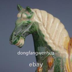 Chinese Tang Sancai Porcelain Pottery Fengshui Zodiac Horse War-horse Statue AQ1