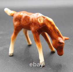 Collection of Porcelain Horse Figurines in Various Poses, Colors, and Sizes Collection of Porcelain Horse Figurines in Various Poses, Colors, and Sizes